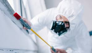 Professional Pest Control in Coquille, OR